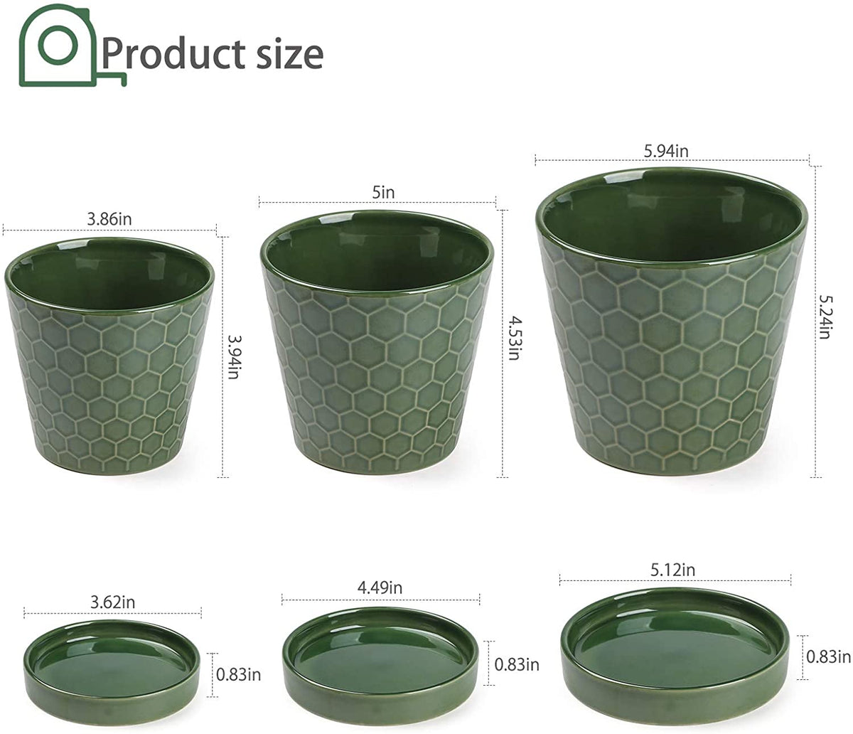 Casewin Plant Pots Set of 4 , 6 inch Planters for Indoor Plants, Plastic Planters  Flower Pots Indoor Plant Pots with Drainage Hole and Tray for Patio Garden  Flowers Succulents, Green 