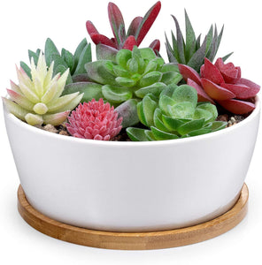 Succulent Pots, White Mini Ceramic Flower Planter Pot with Bamboo Tray -  Plants Not Included