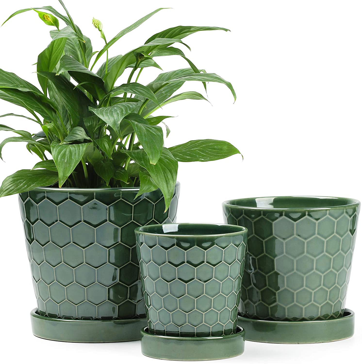 Set of 2 Terracotta Pots, 4 Inch and 6 Inch, Planter Pots for Plants with  Draina